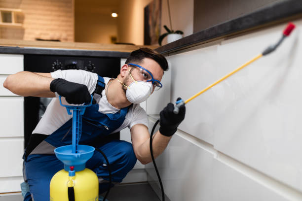 Best Rat Extermination Near Me  in Poth, TX
