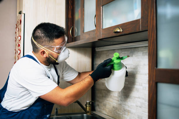Best Pest Prevention Services  in Poth, TX