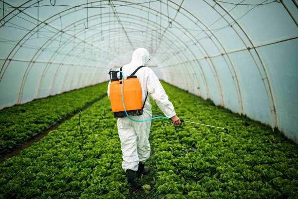 Best Mosquito Control Services  in Poth, TX