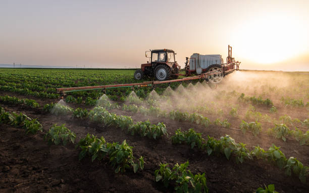 Best Ant Control Services  in Poth, TX
