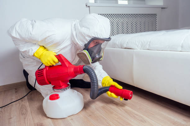 Best Pest Inspection Near Me  in Poth, TX