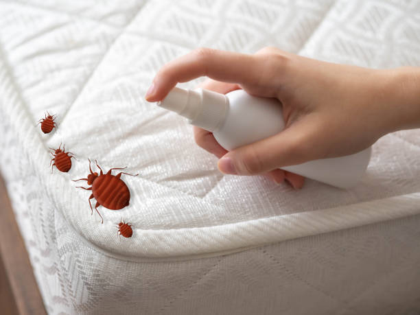 Best Residential Pest Control  in Poth, TX