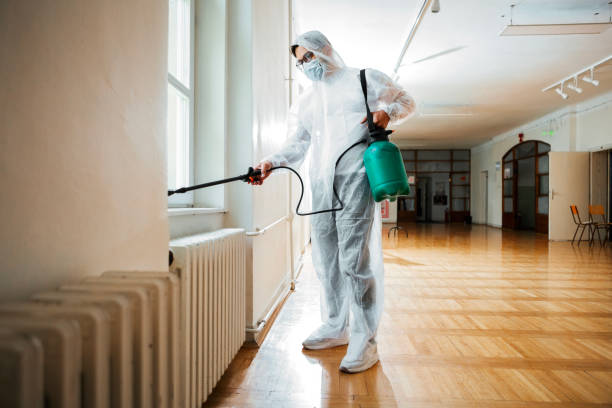 Best Local Pest Control Services  in Poth, TX