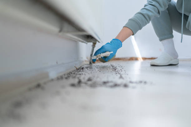 Best Affordable Pest Control Services  in Poth, TX